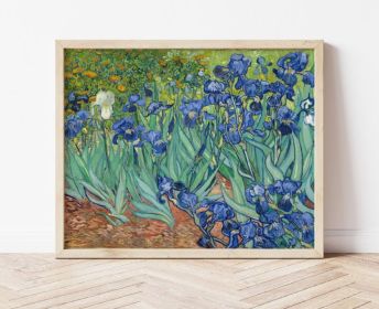 Vibrant Irises Poster: Add a Splash of Color to Your Space (size: 30x40)